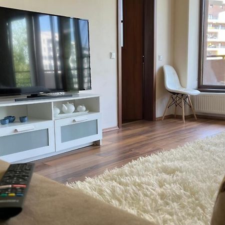 Plopilor Sdtudio Leilighet Cluj-Napoca Eksteriør bilde